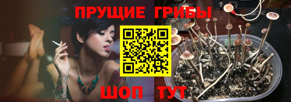 Галлюциногенные грибы мицелий  Псилоцибиновые грибы Magic Shrooms  Ливны  Вход с VPN 